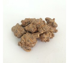 田七 (20頭) 原色 (每兩)